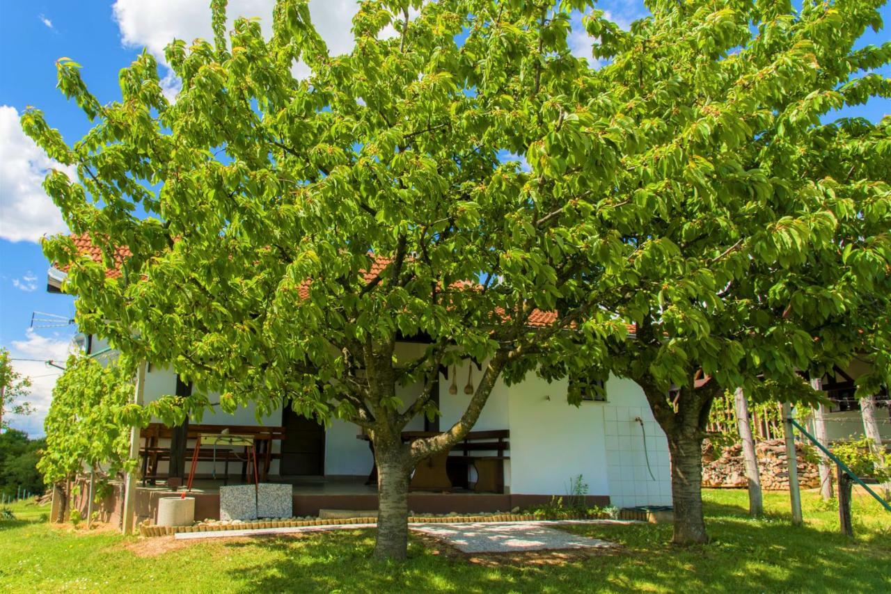 Villa Zidanica Balantic Dobrovnik Esterno foto
